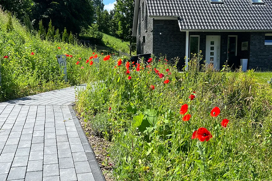 Garten-Ferienwohnung-Seelengluck-Harz